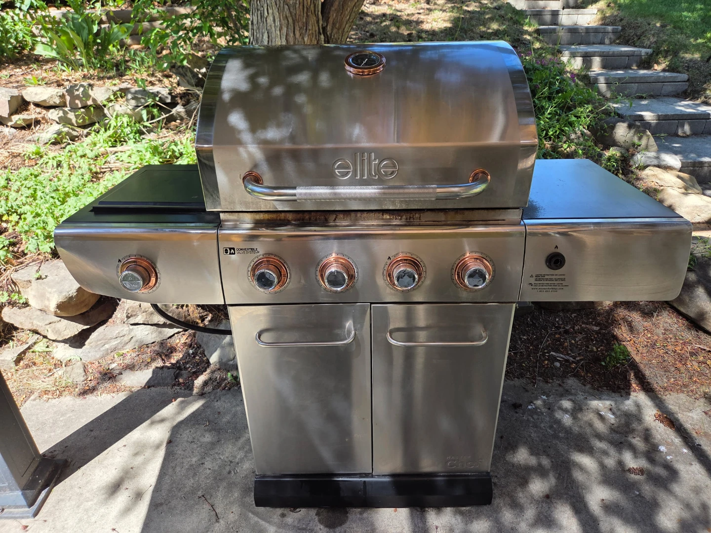 Elite Gas Grill