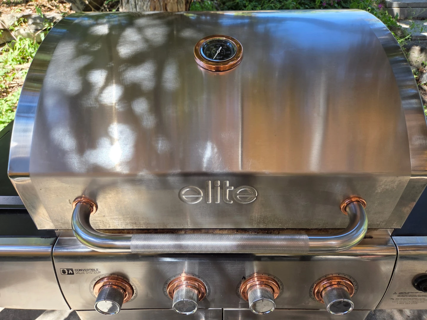 Elite Gas Grill - photo 2
