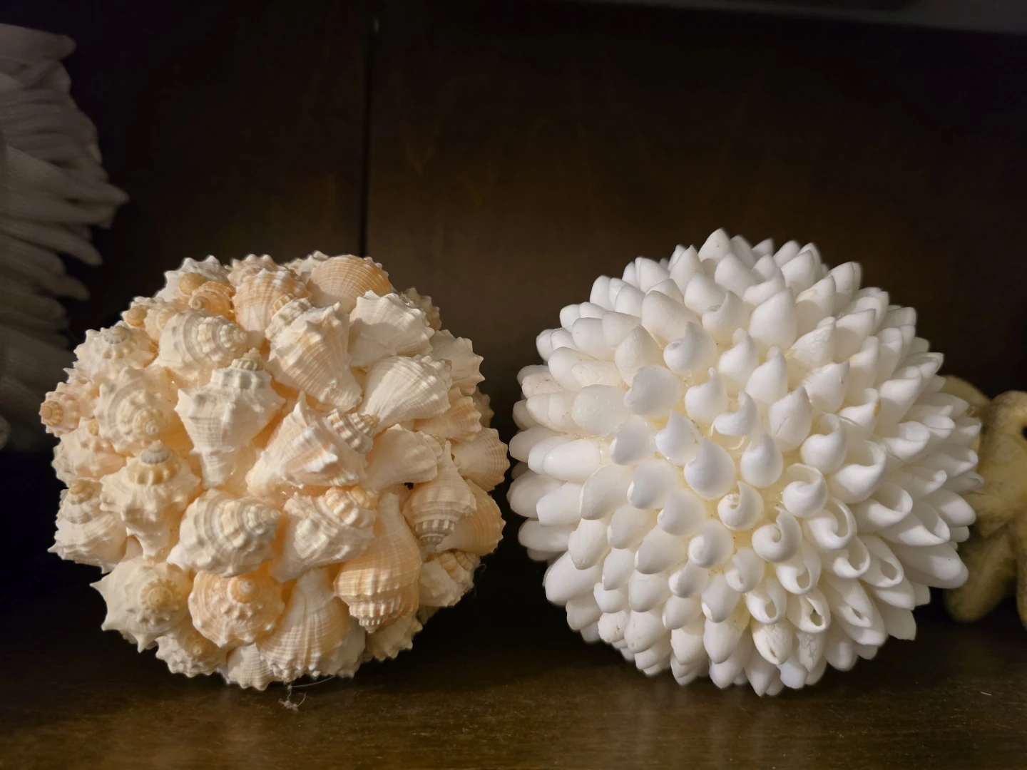 Seashell Decorative Balls