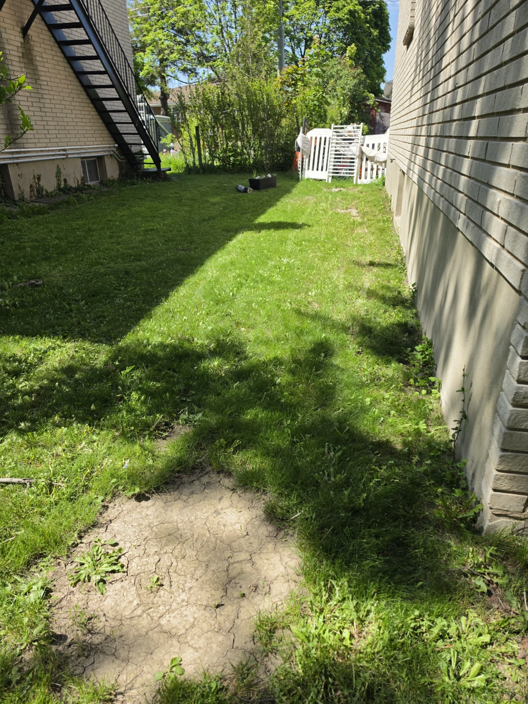 Lawn Mower services - photo 2
