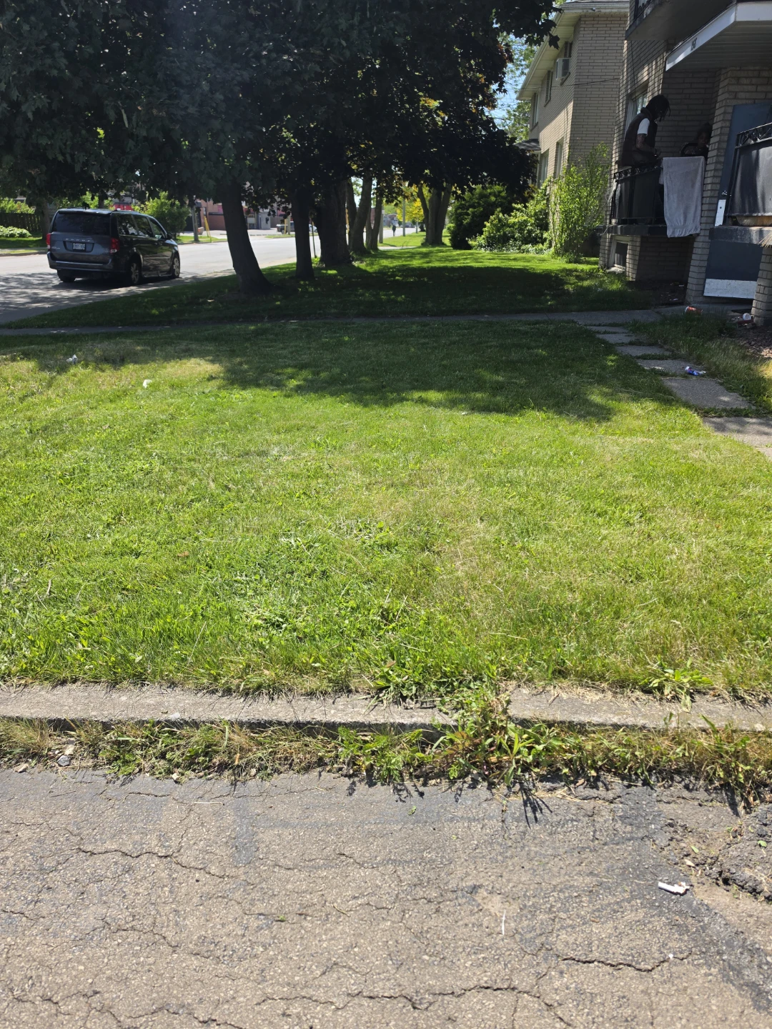 Lawn Mower services - photo 3
