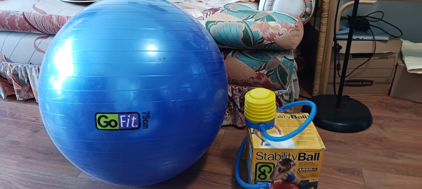 ⚽  Go Fit Stability Ball 75cm Blue