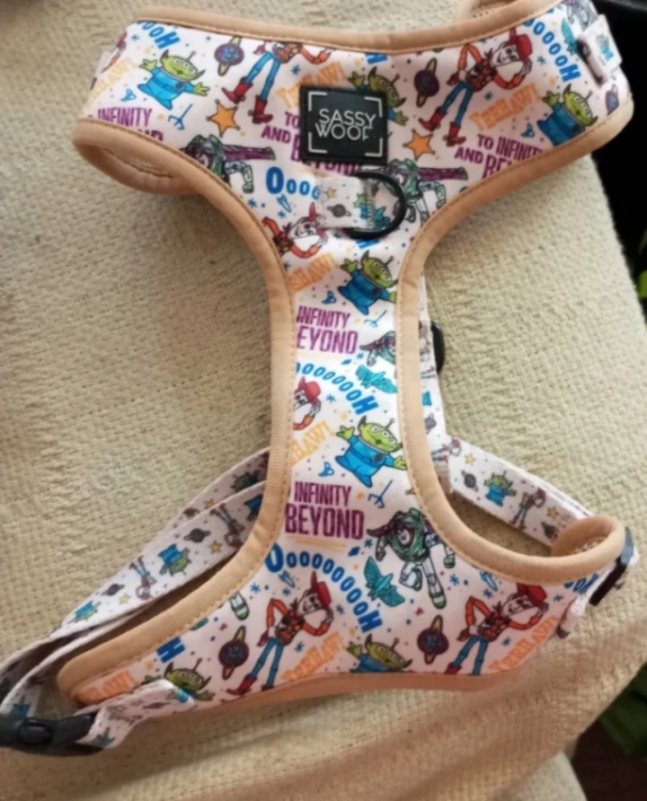 Sassy Woof Toy Story Dog Harness