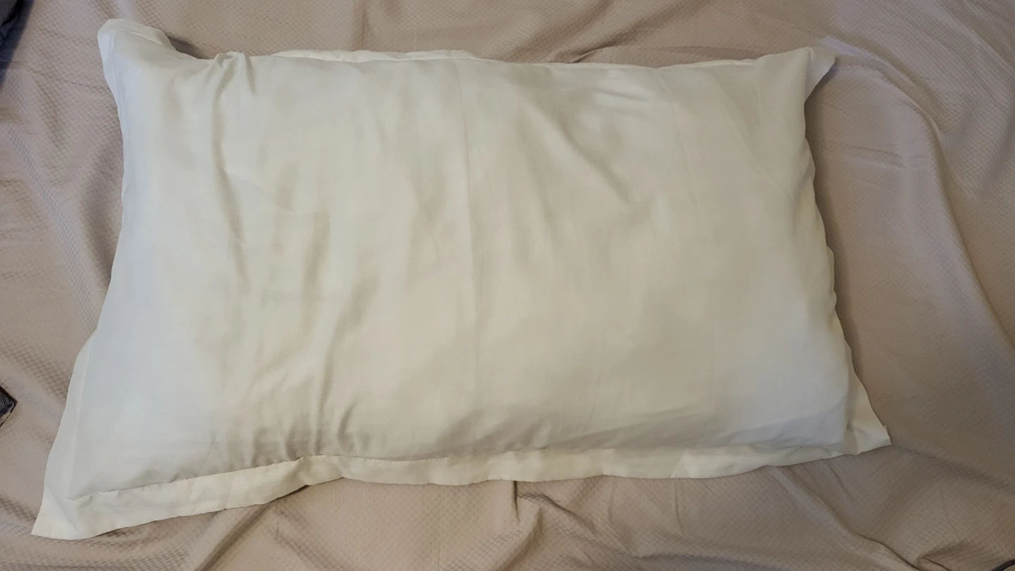 IKEA VILDKORN Queen Pillow + cover