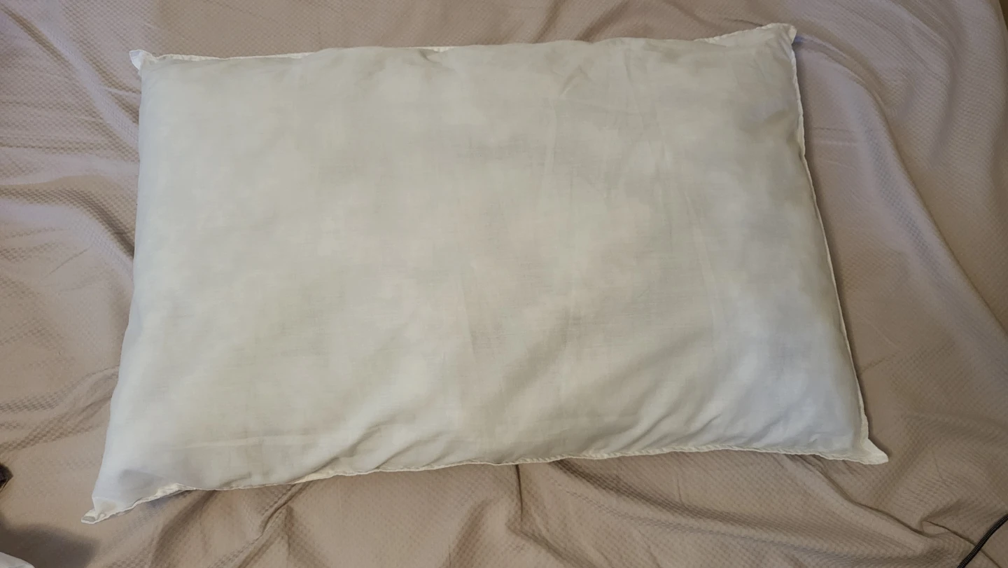 IKEA VILDKORN Queen Pillow + cover - photo 3
