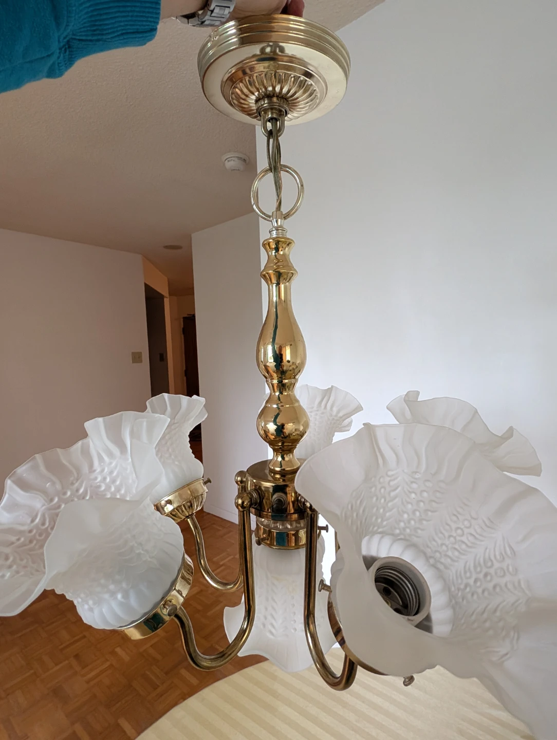 Brass Chandelier with Frosted Glass Shades - photo 2