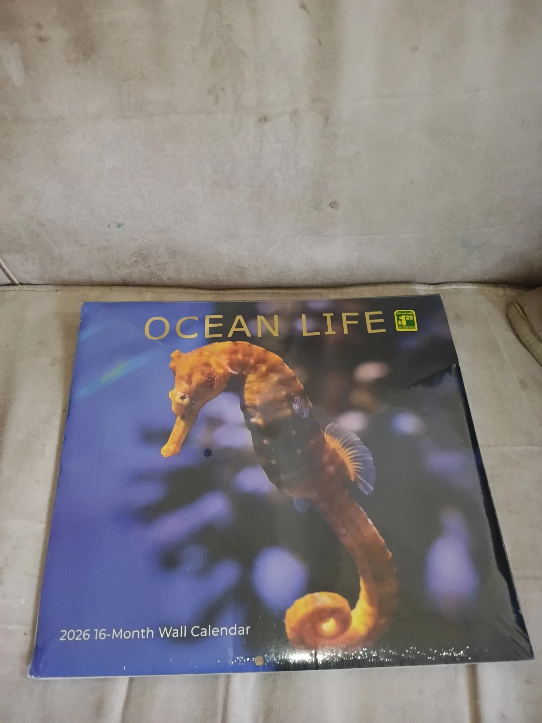 ⚽️ Ocean Life 2026 16-Month Wall Calendar