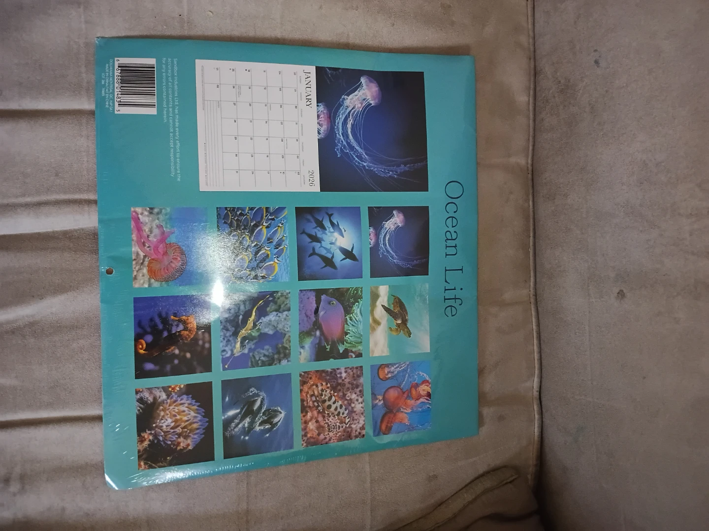 ⚽️ Ocean Life 2026 16-Month Wall Calendar - photo 2