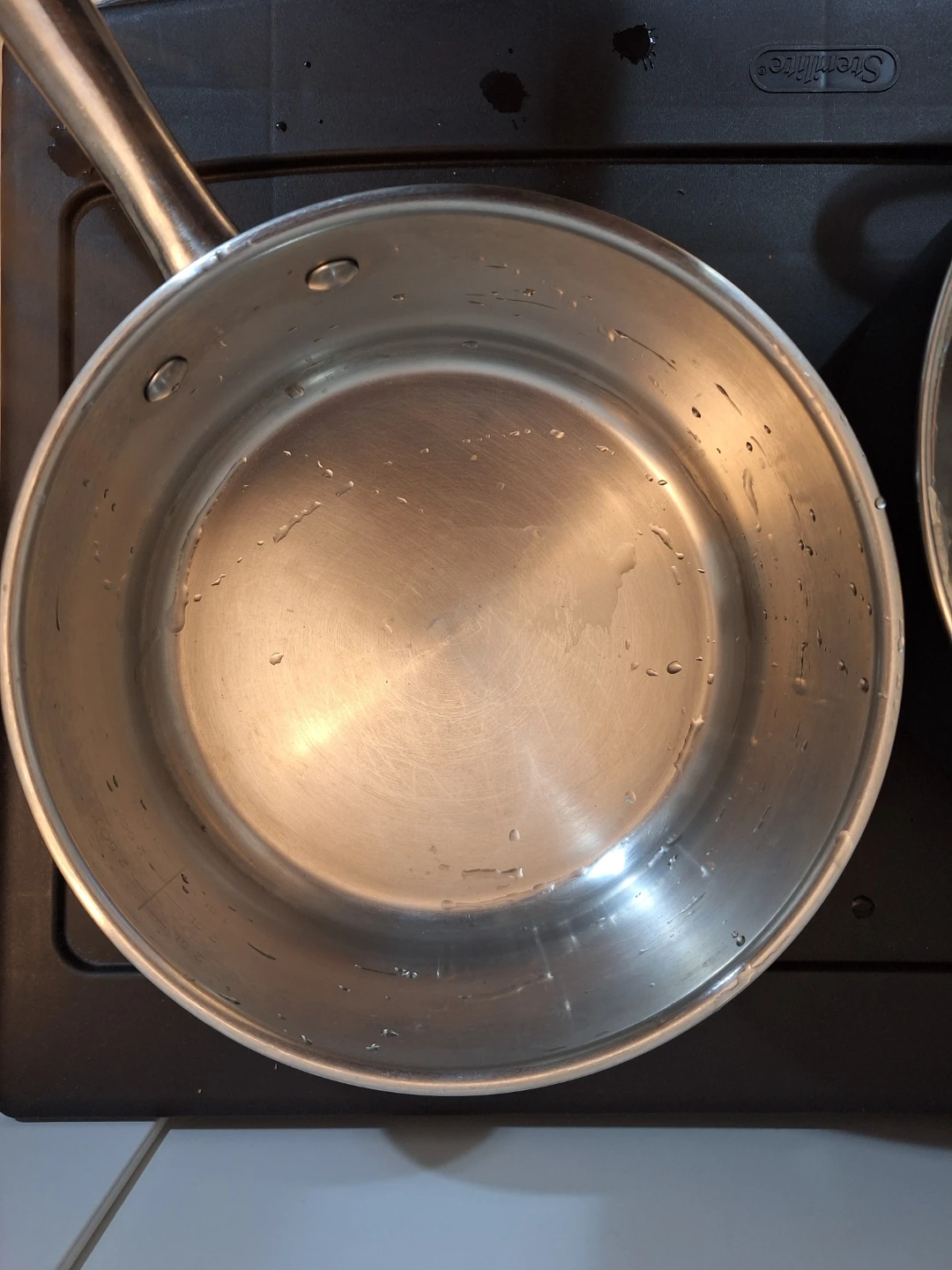 Stainless Steel Saucepan