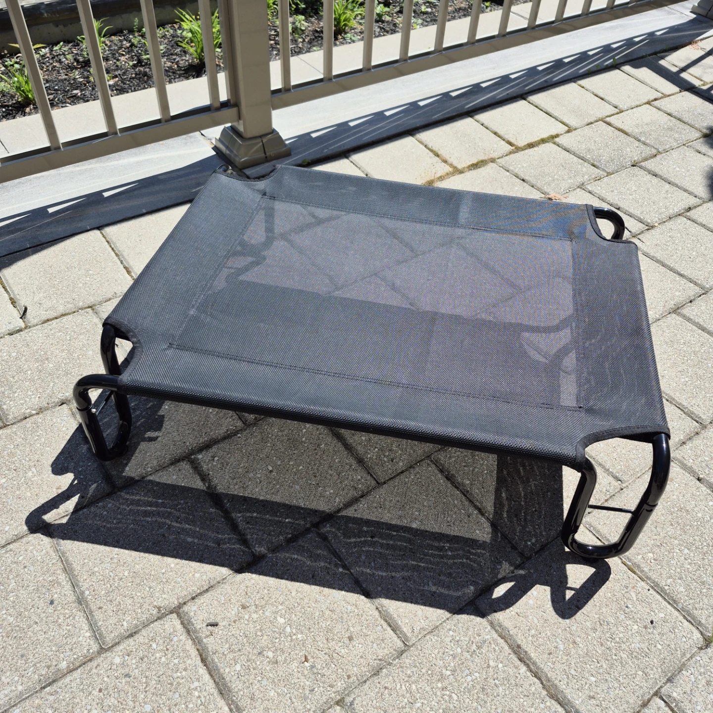 Raised Cot Dog Bed - Small