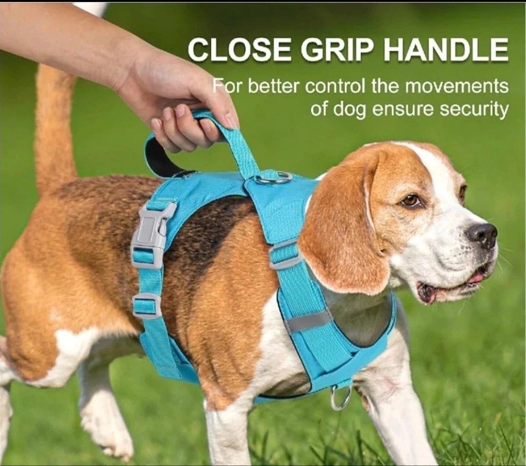 BNWT Blue No Pull Dog Harness Size L