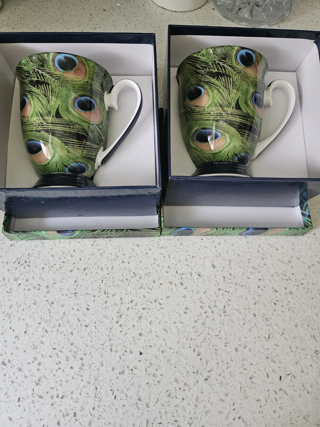 Museums of Canada Peacock Feather Bone China Mug