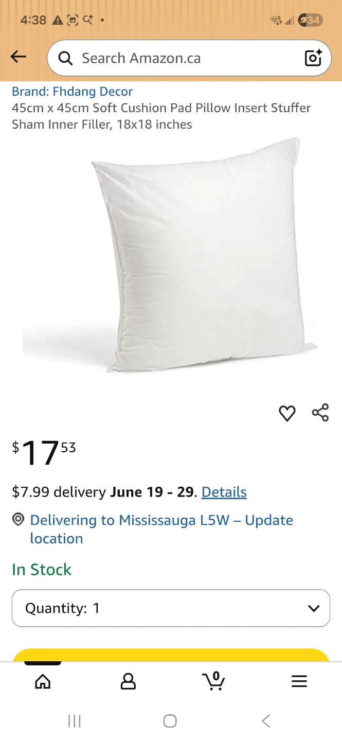 Fhdang Decor 45cm x 45cm Pillow Insert