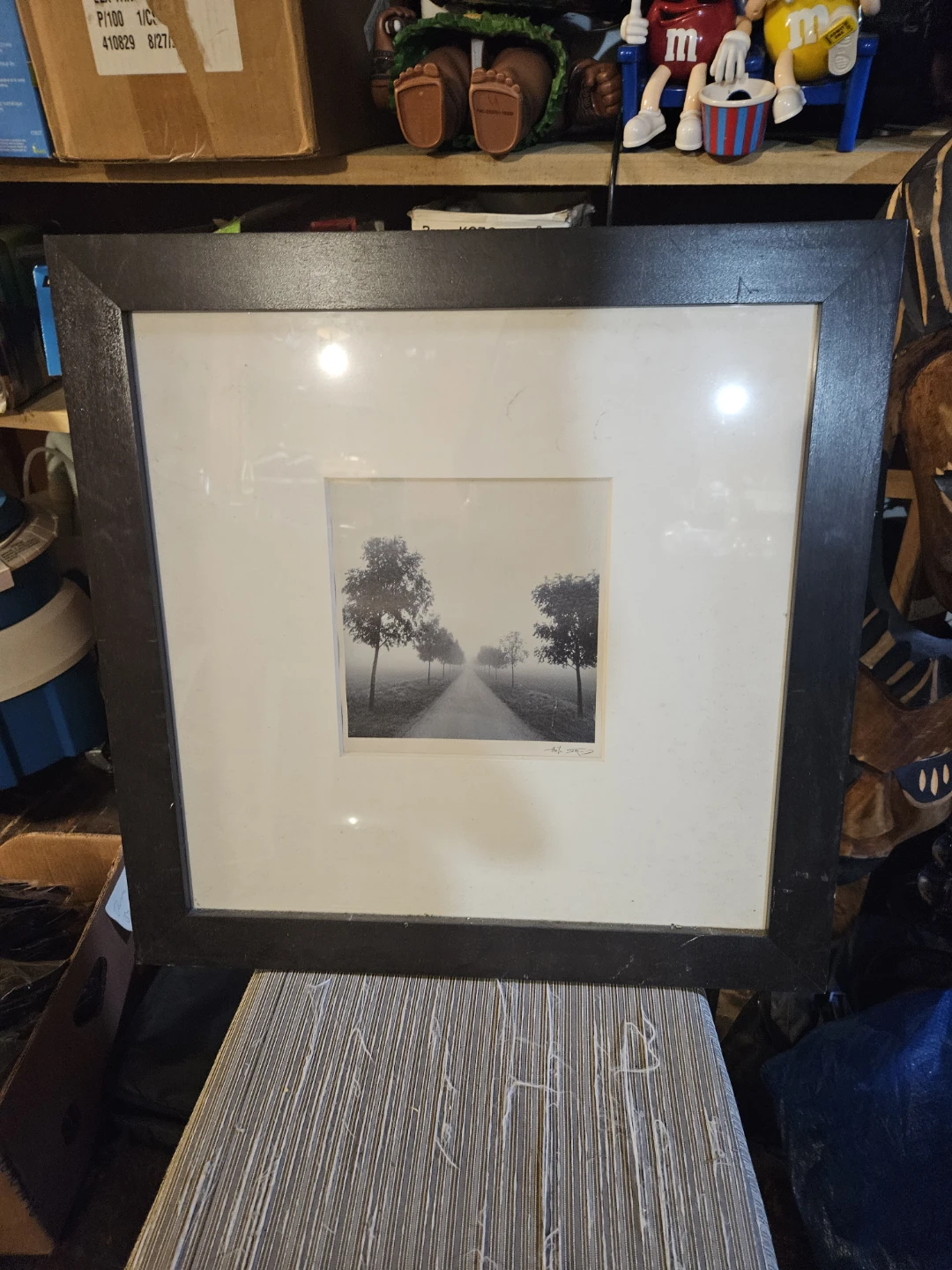 Framed Photograph of Tree-Lined Road - photo 2