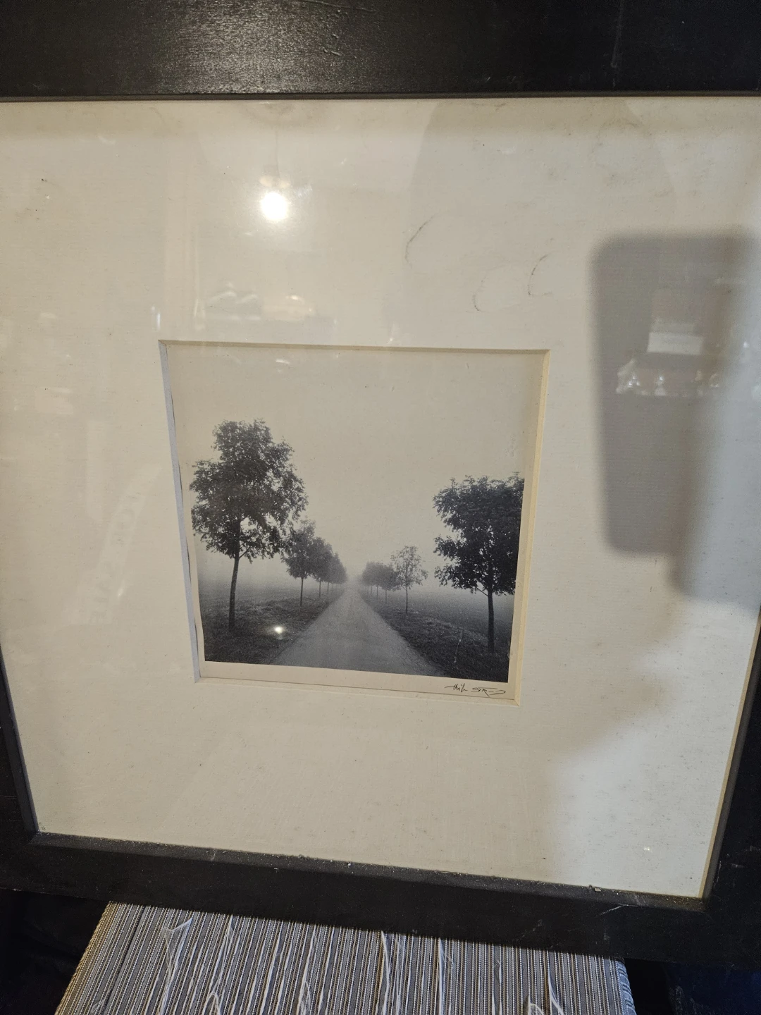 Framed Photograph of Tree-Lined Road - photo 3