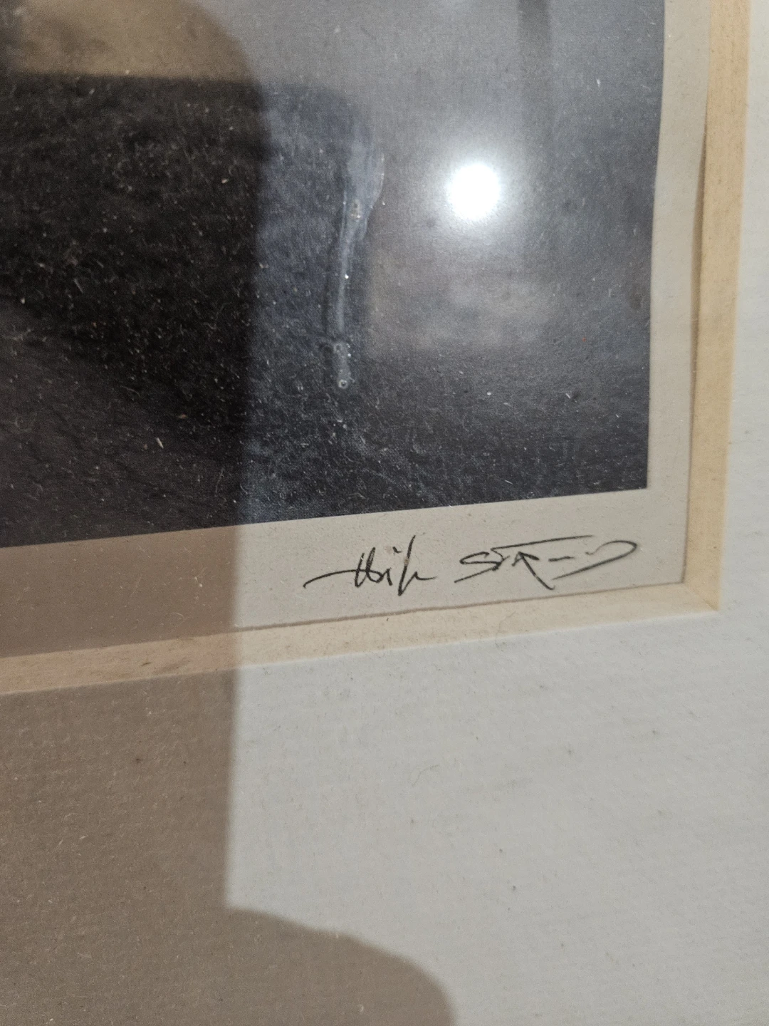 Framed Photograph of Tree-Lined Road - photo 4