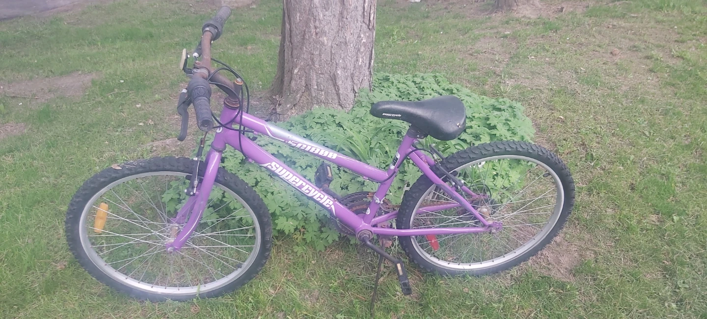 Supercycle Kids Bicycle