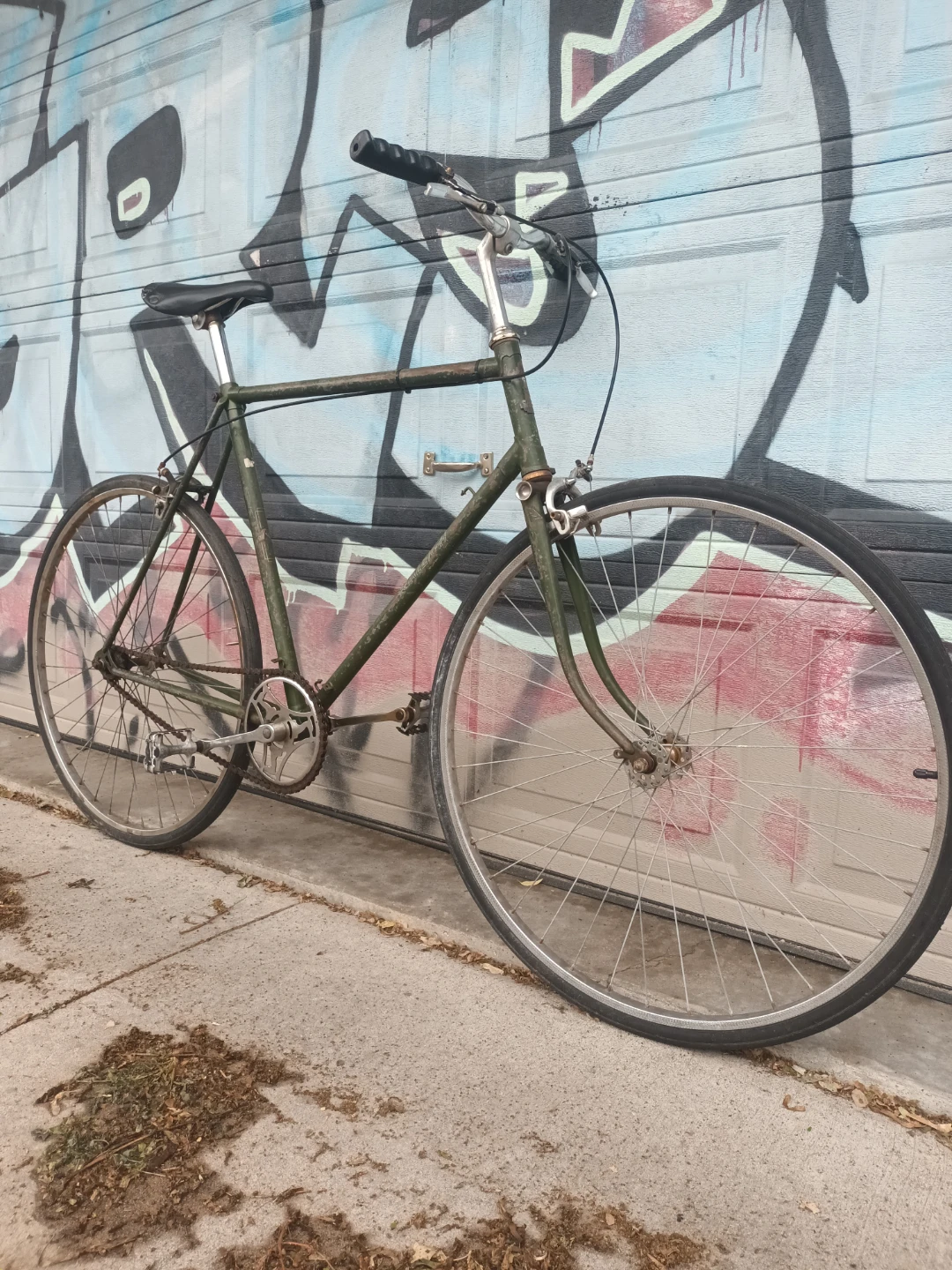 Single Speed Bike - photo 2