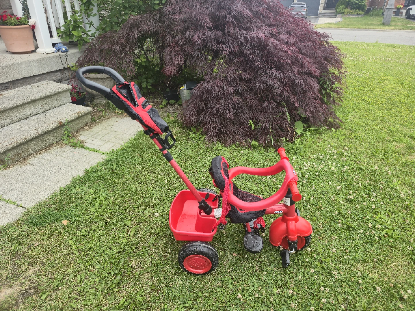 Little Tikes Red Tricycle with Parent Handle - photo 3