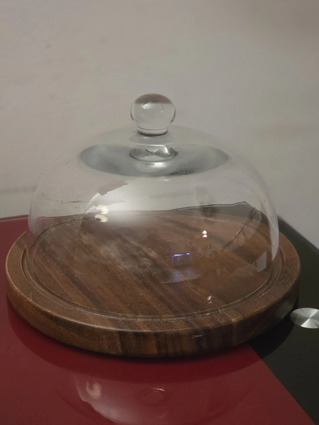 Glass Dome Display with Wooden Base