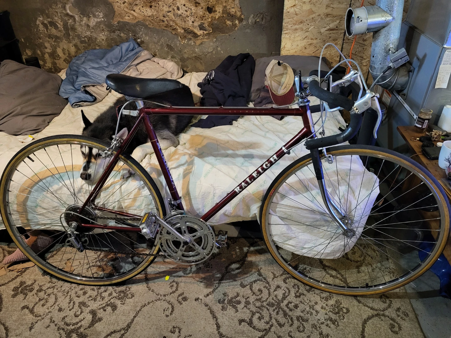 Raleigh Olympian Road Bike