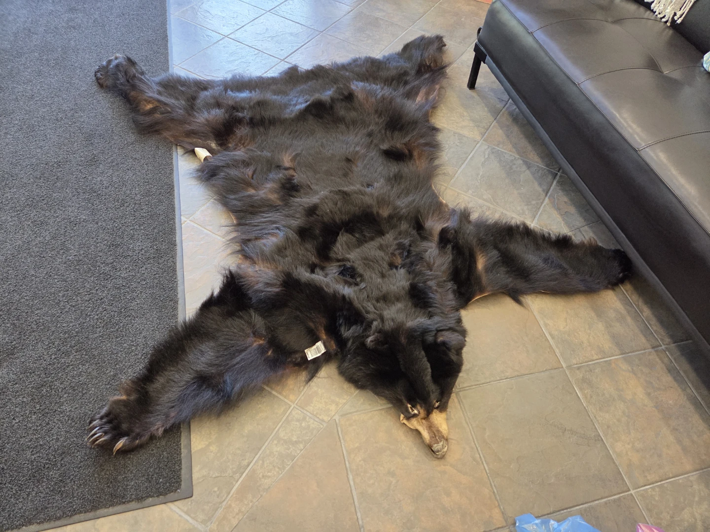 Black Bear Hide Rug