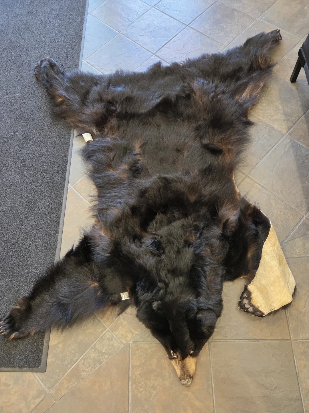 Black Bear Hide Rug - photo 4