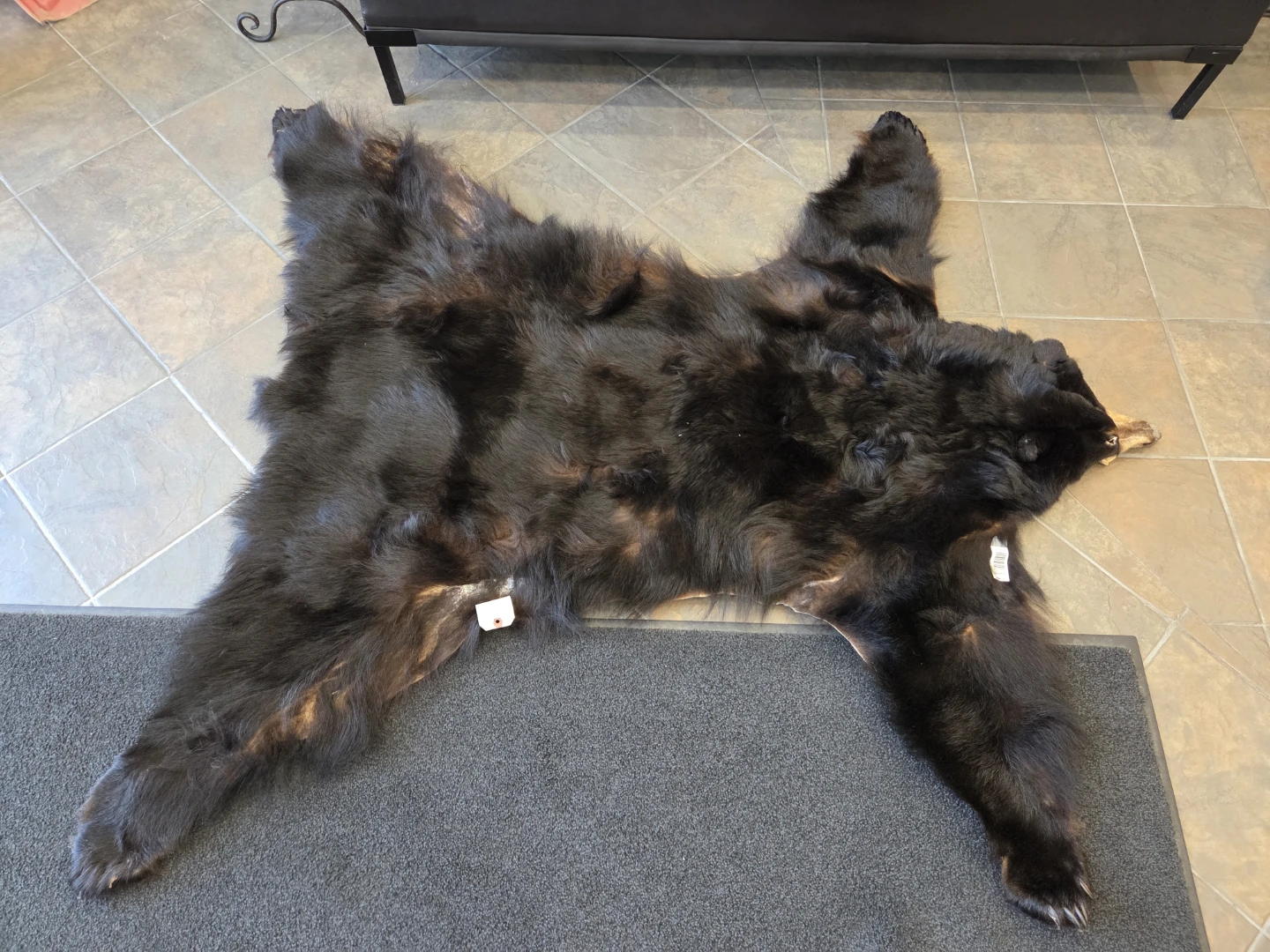 Black Bear Hide Rug - photo 5