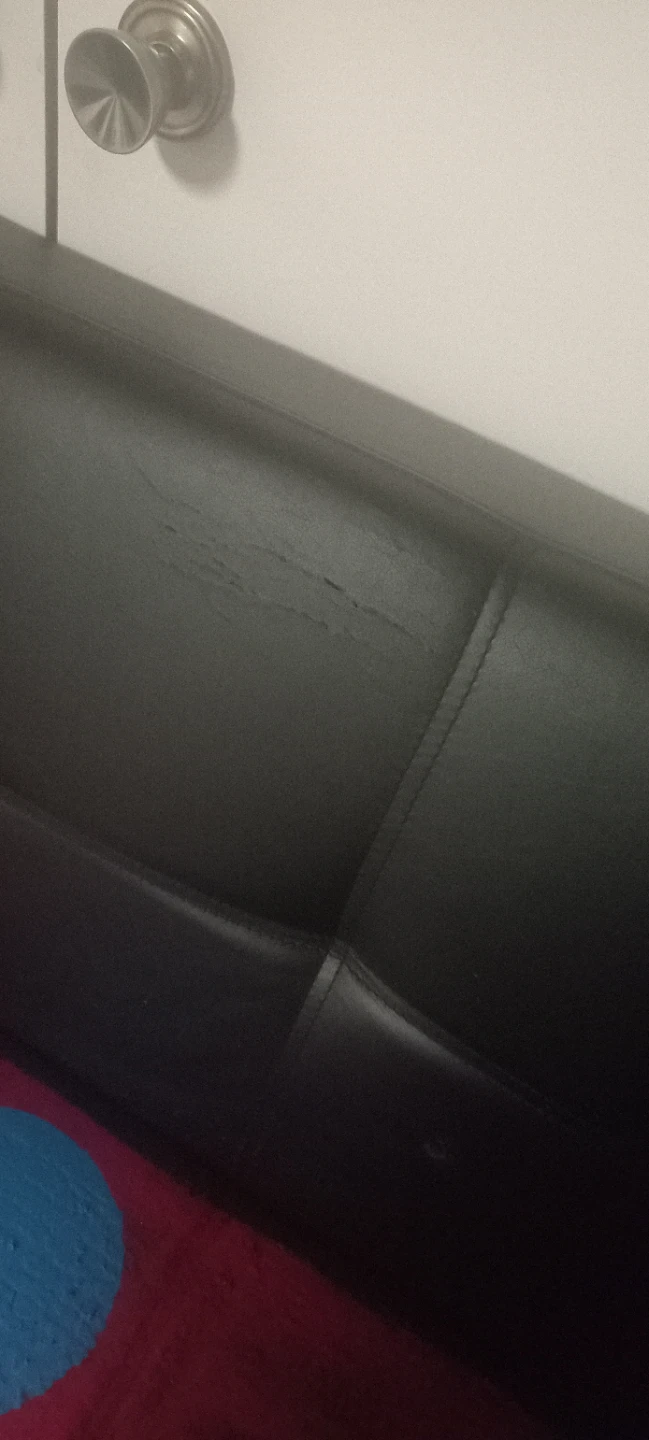 Artistic ,Black faux leather sofa  painted custom cushion - photo 3