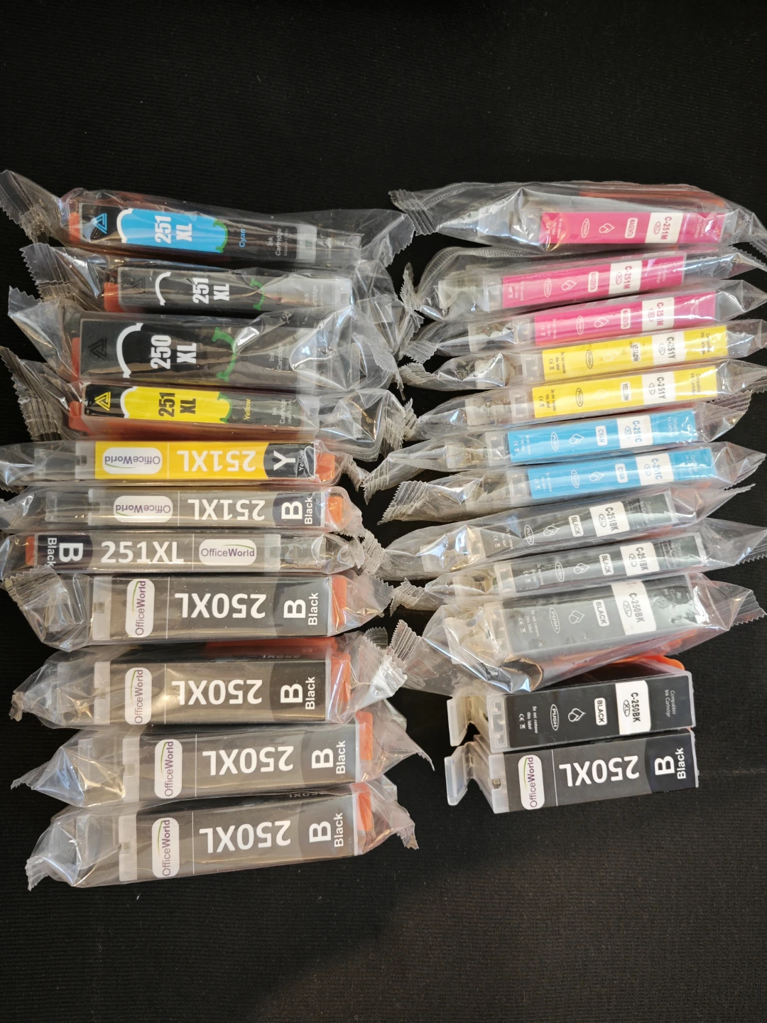 Canon Printer Ink Cartridges 250/251