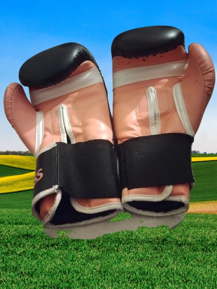 FIGHTNESS Boxing Gloves 10 oz