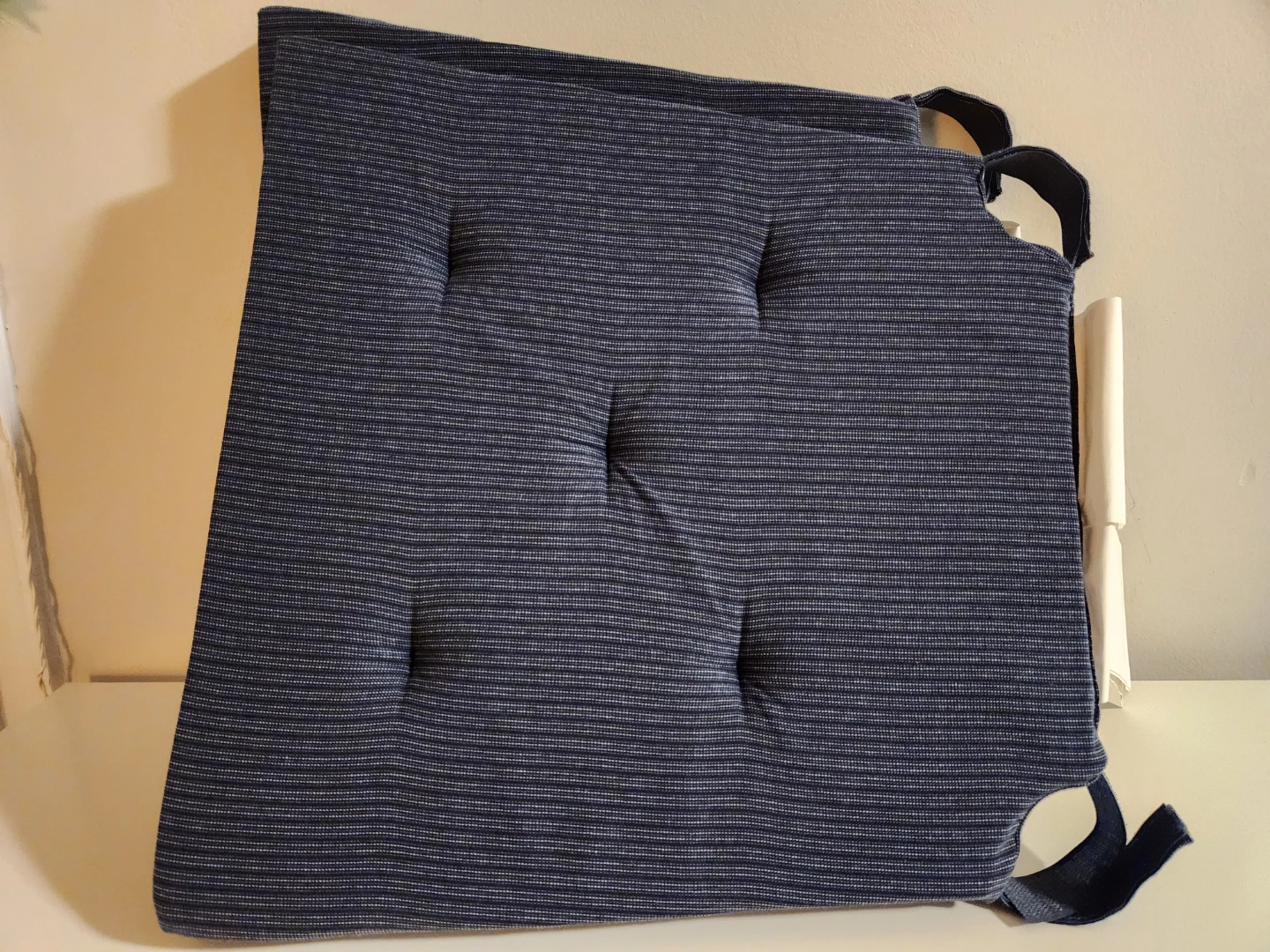 New Dark Blue Striped Chair Cushions (Set of 2)