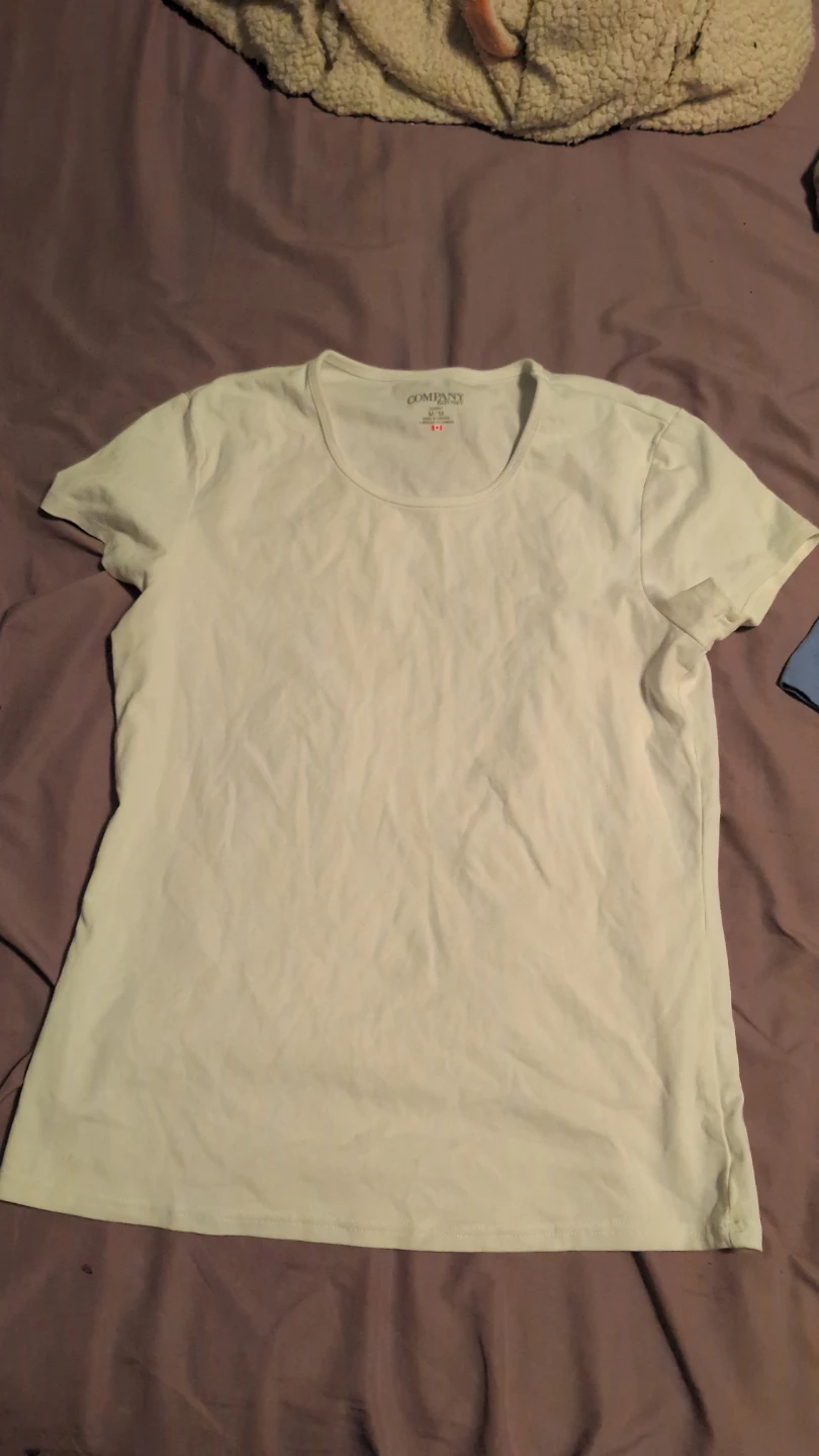 2 Ellen Tracy T-Shirts - White and Blue - photo 3