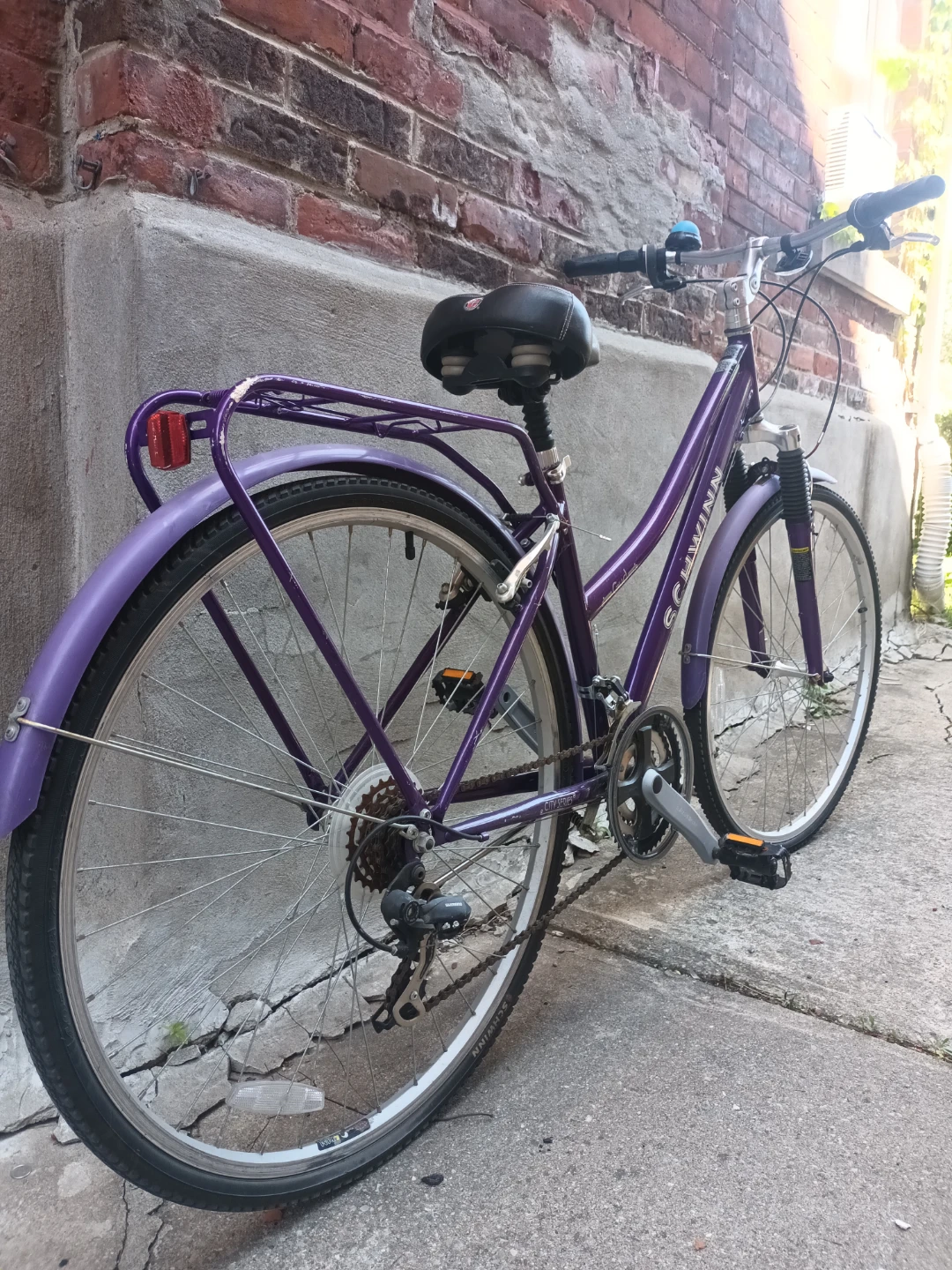 Schwinn Bike - photo 3