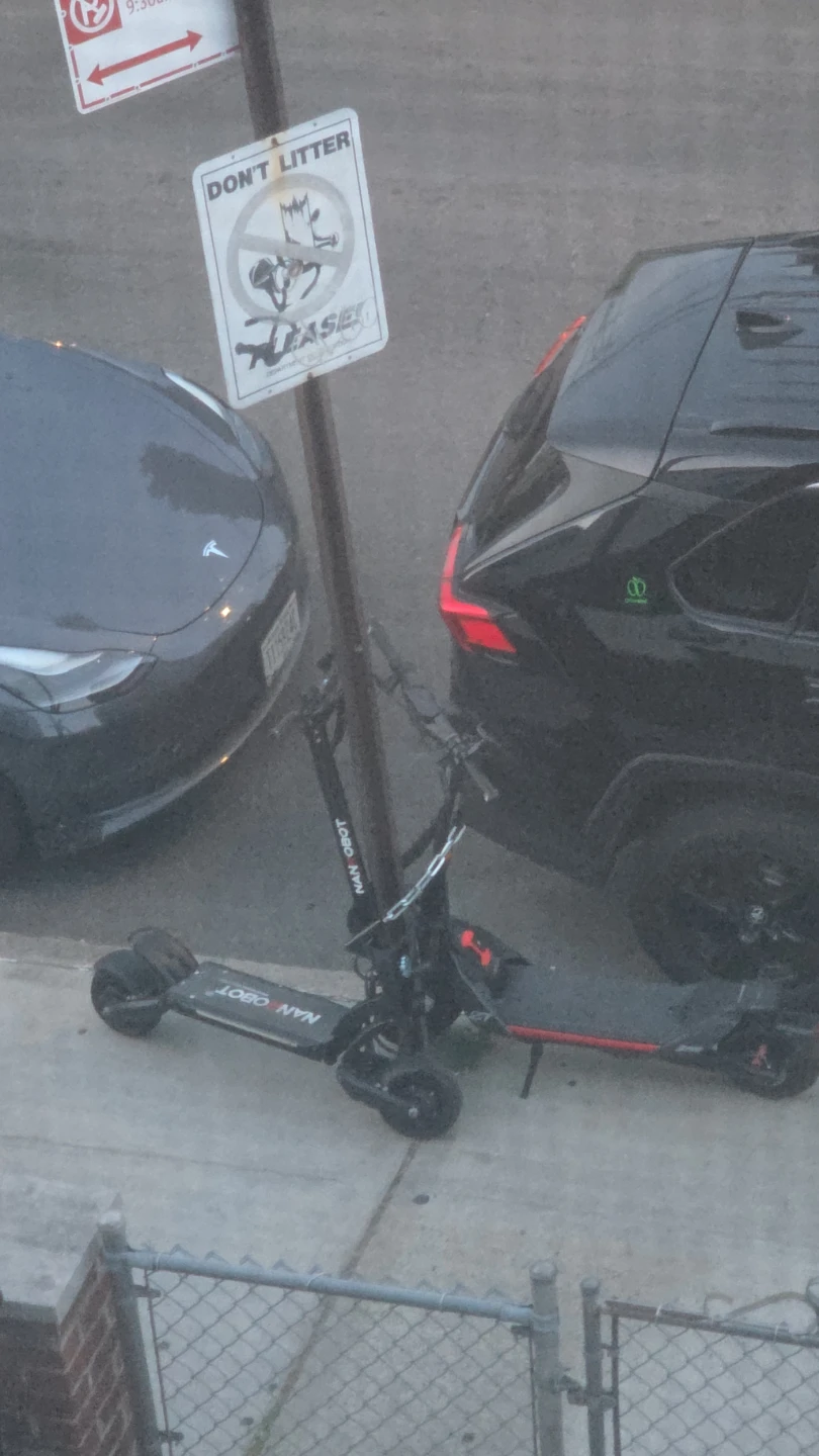 Scooter para adulto