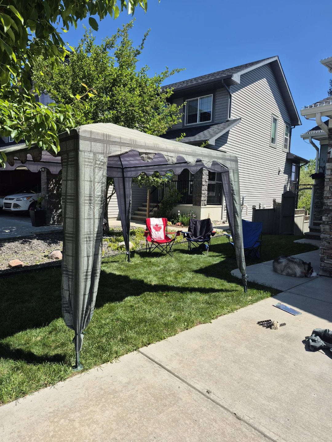 Canopy Tent with Metal Frame and Fabric Cover - photo 4