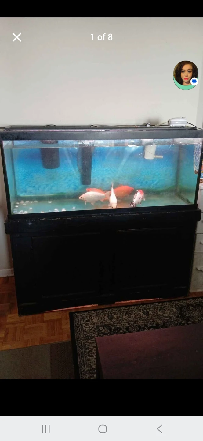 76 Gal. Aquarium with Stand
