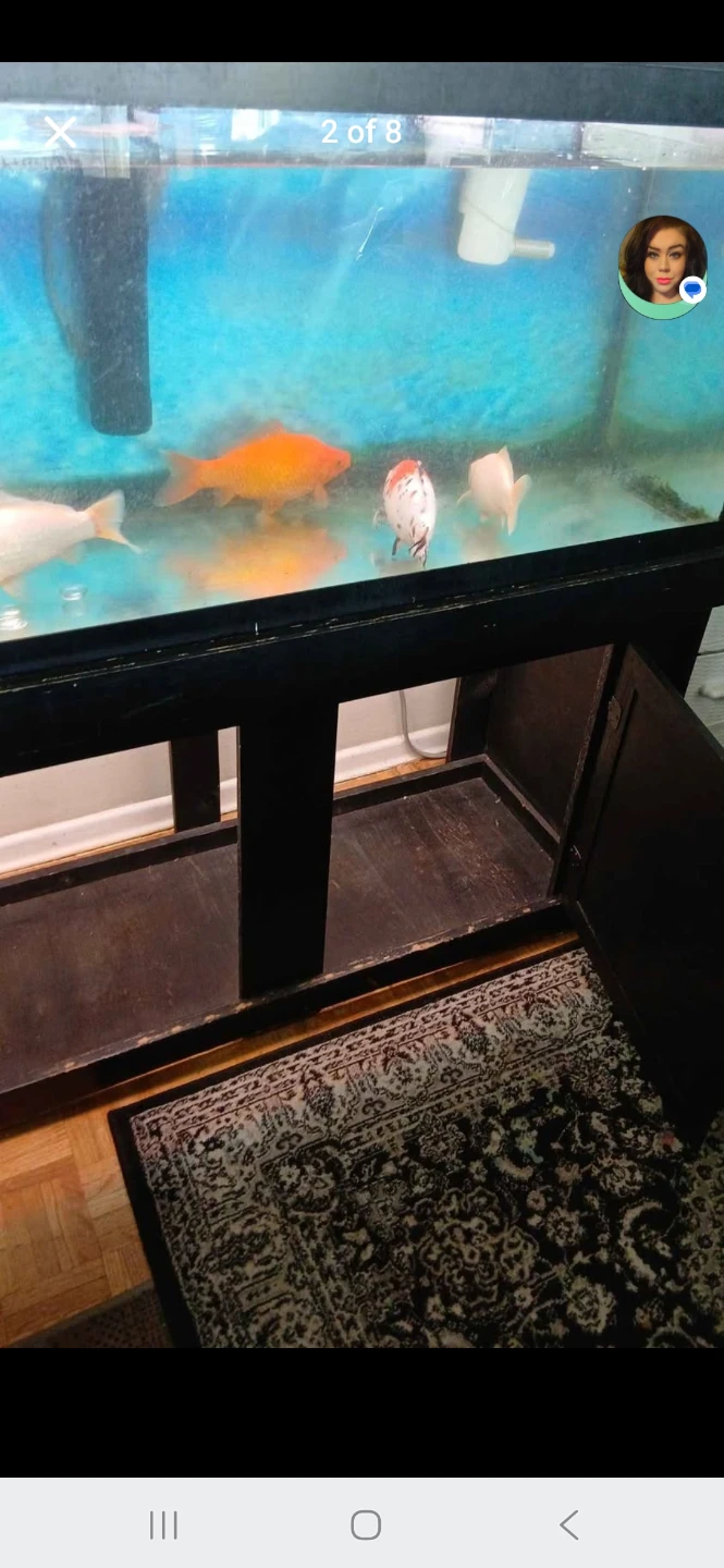 76 Gal. Aquarium with Stand - photo 2
