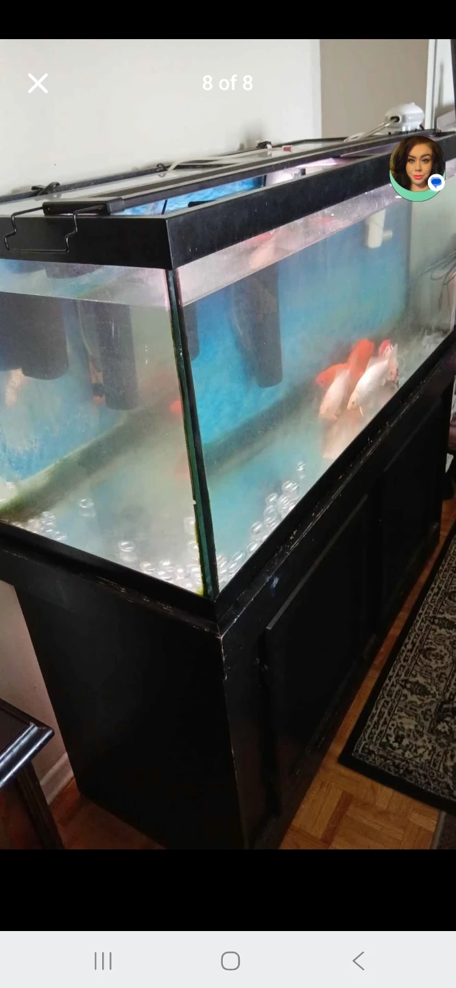 76 Gal. Aquarium with Stand - photo 3