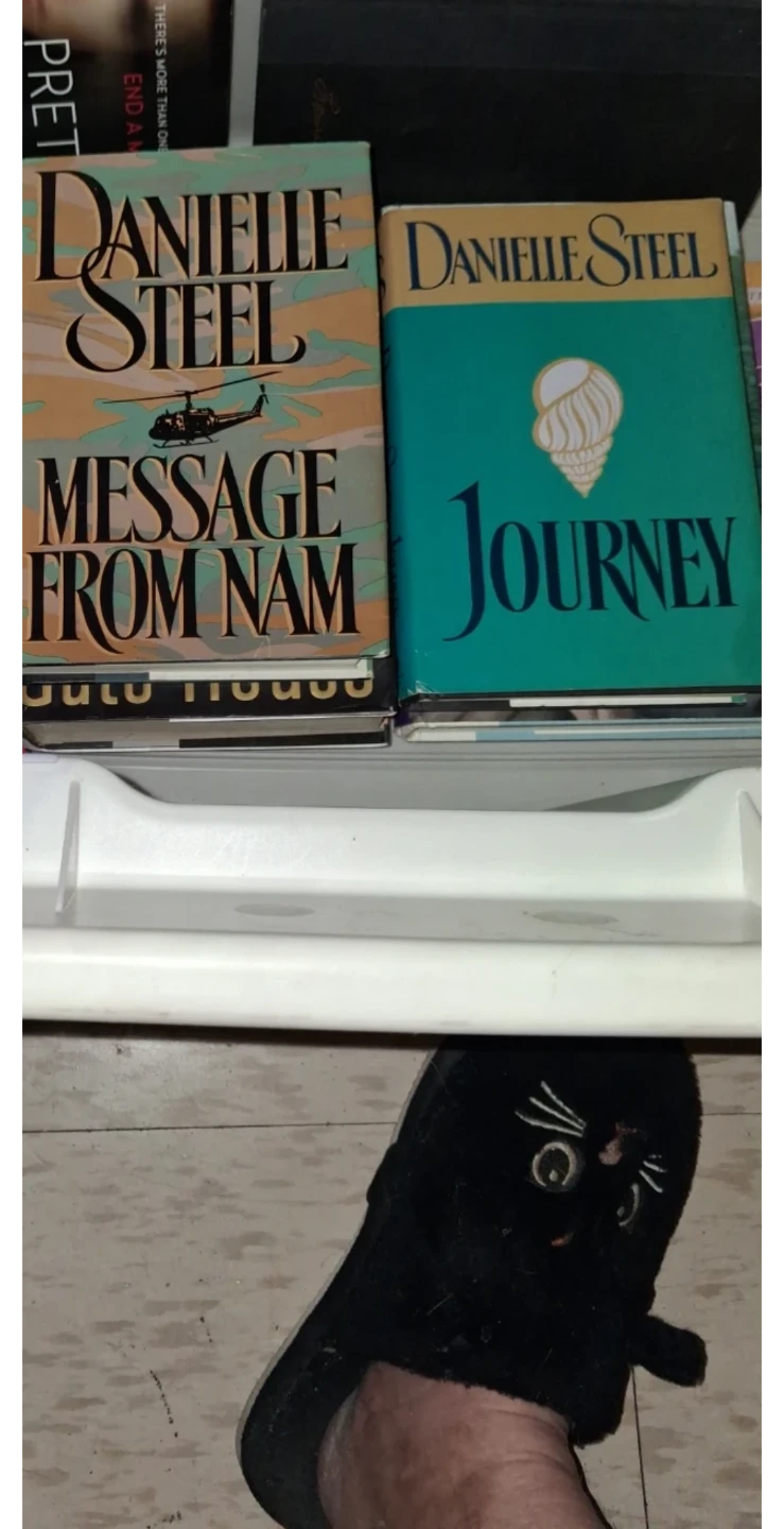 Collection of Danielle Steel Novels - photo 5