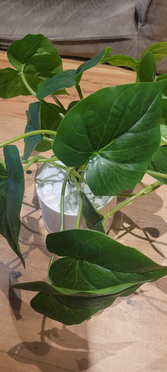 BRAND NEW Artificial Plant (betel) in White Pot - photo 2
