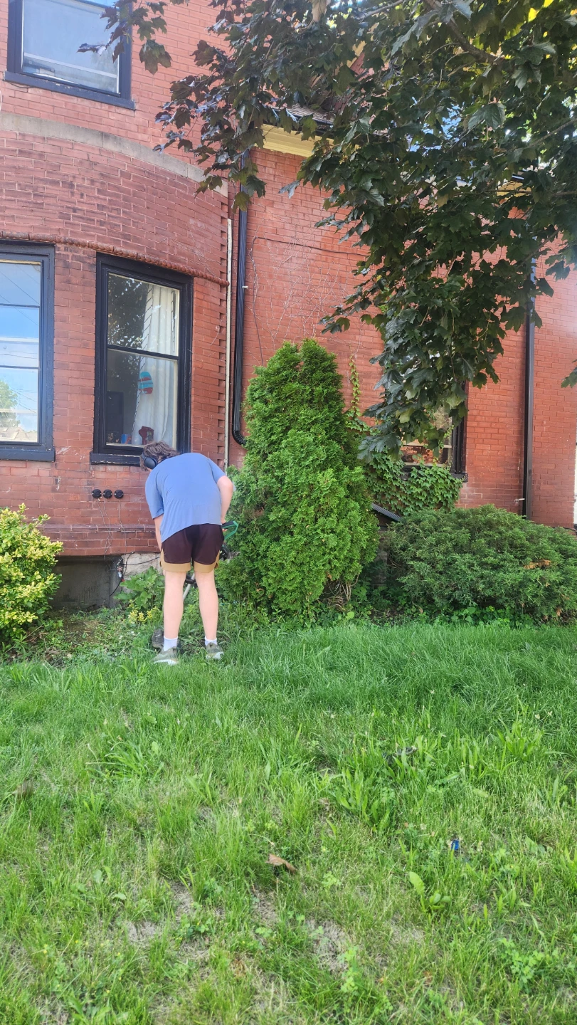Lawn mowing north and central St thomas - photo 2