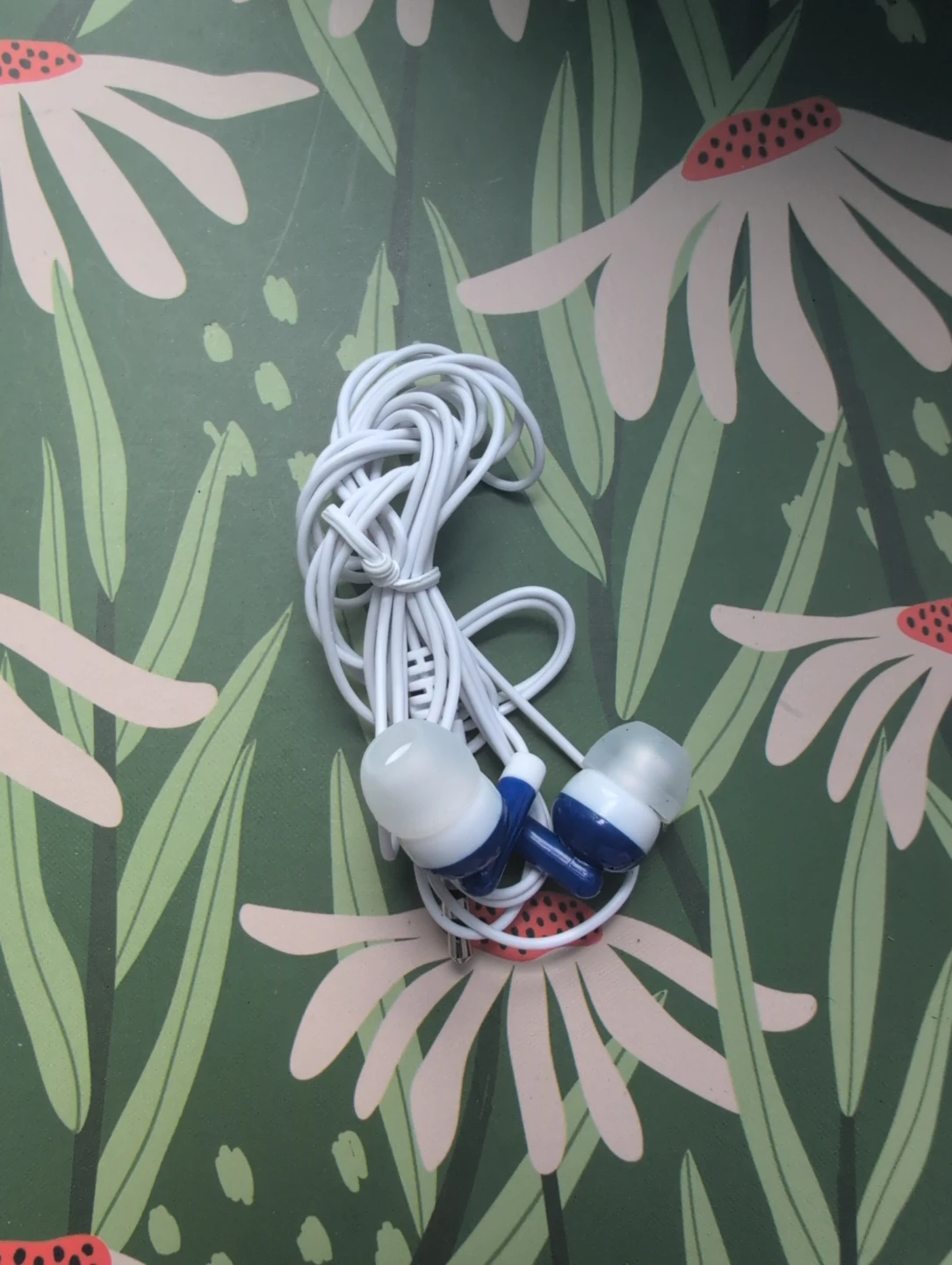 White and Blue Earbuds