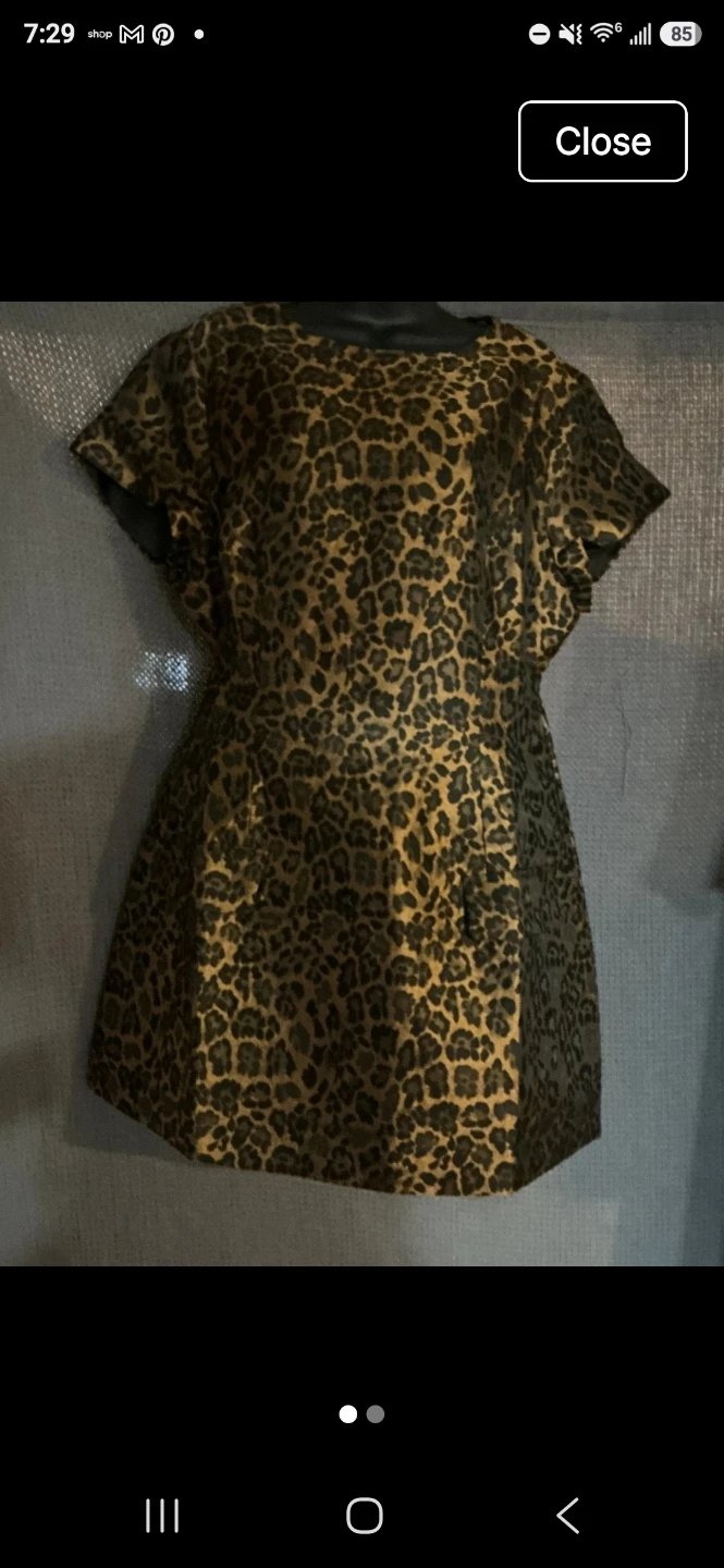 Leopard Print Mini Dress