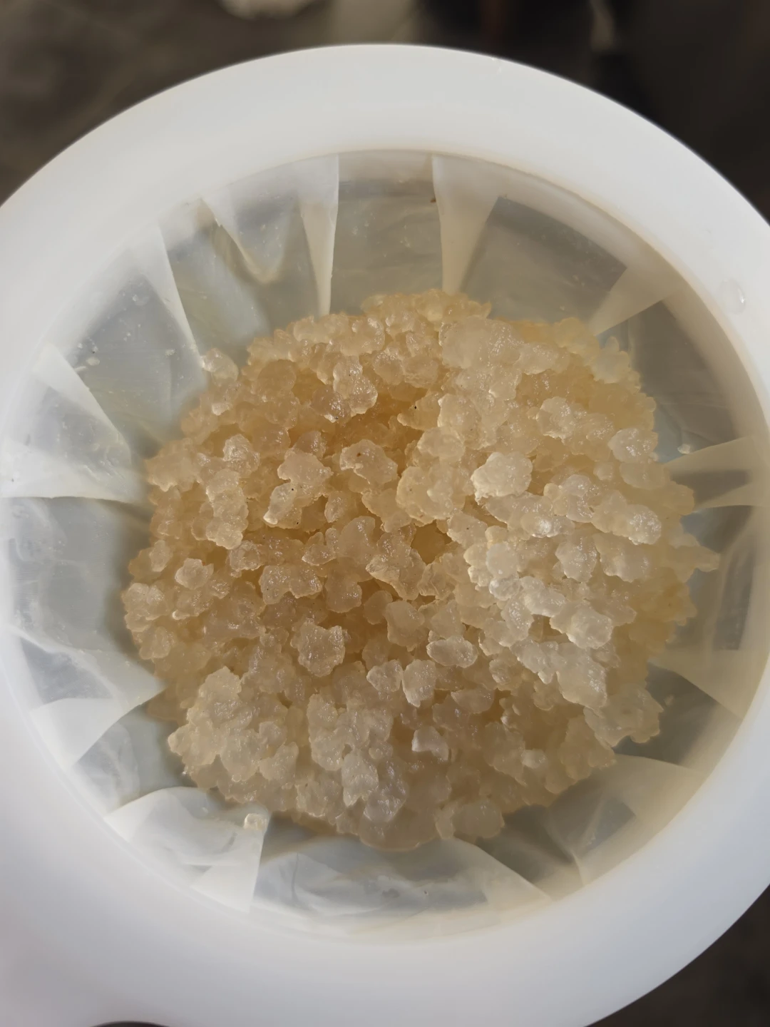 Water Kefir grains