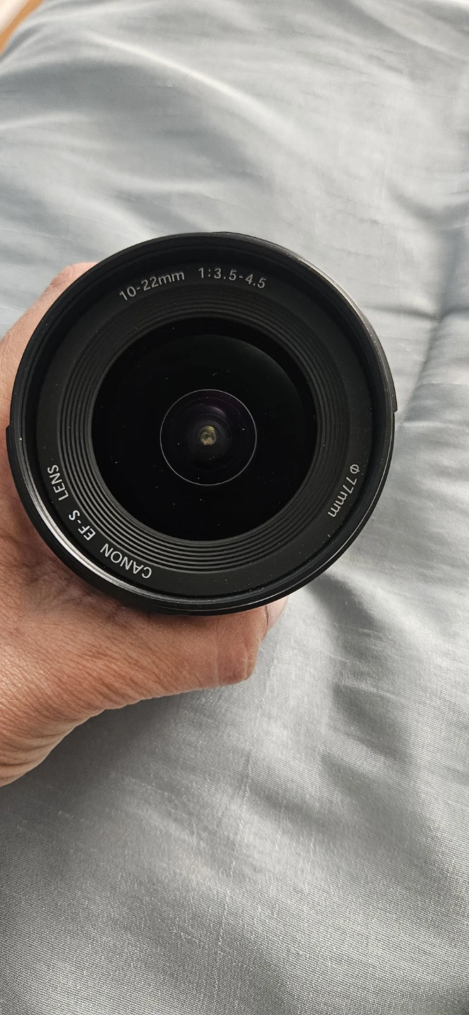 Canon 10mm-22mm lens, $300
