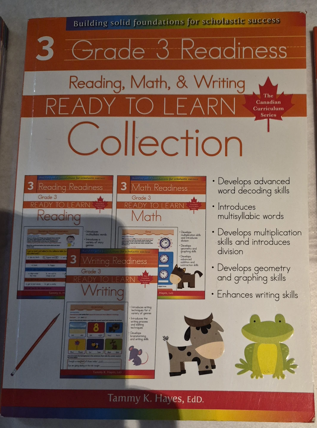 Grade 3 Reading, Math & Writing Ready to Learn Collection - photo 2