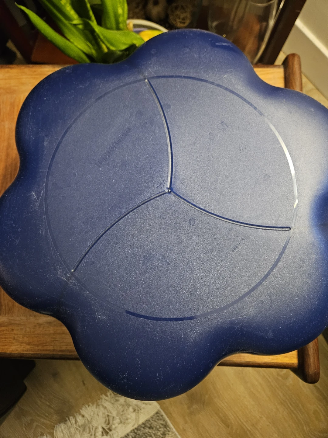 Tupperware Divided Serving Dish with Lids