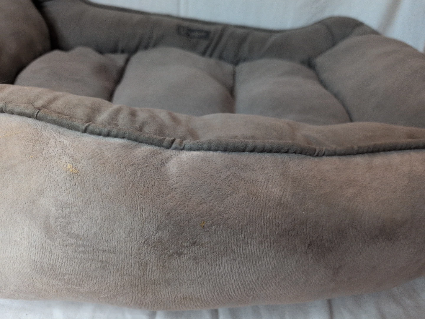 Nandog Pet Gear Dog Bed - photo 3