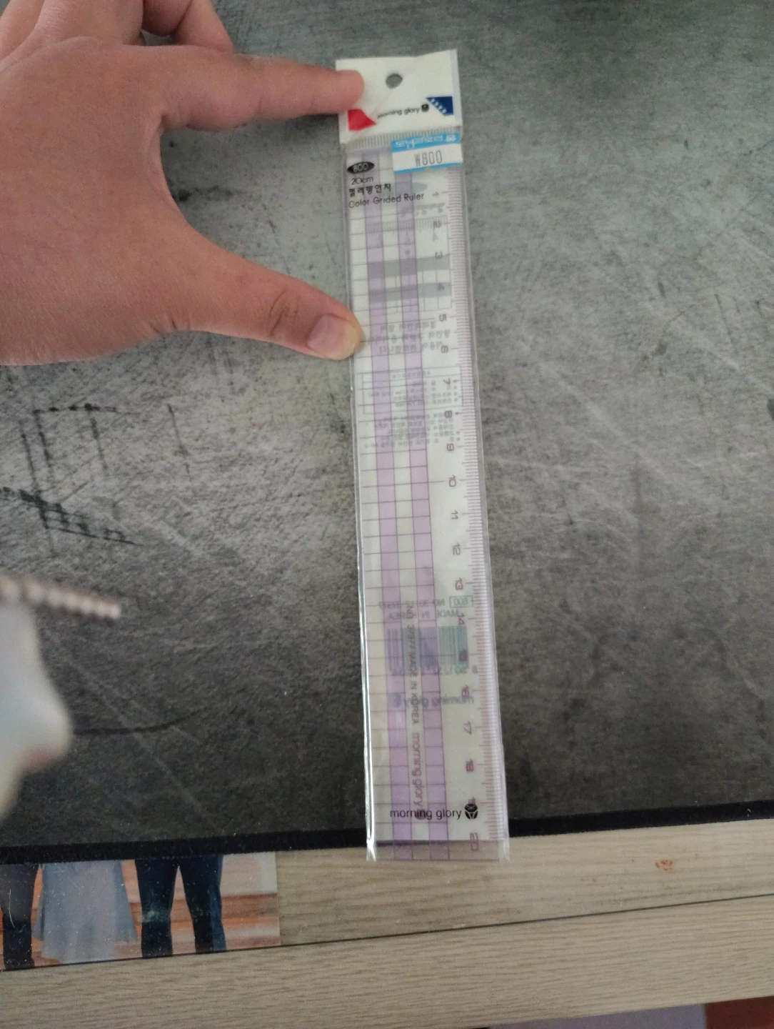 Morning Glory 20cm Color Grided Ruler